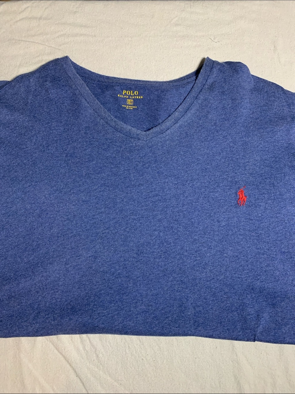 Polo by Ralph Lauren Blue V-Neck Shirt with Red Pony Emblem